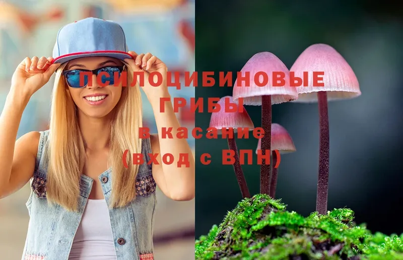 Псилоцибиновые грибы Magic Shrooms  shop наркотические препараты  Азнакаево 